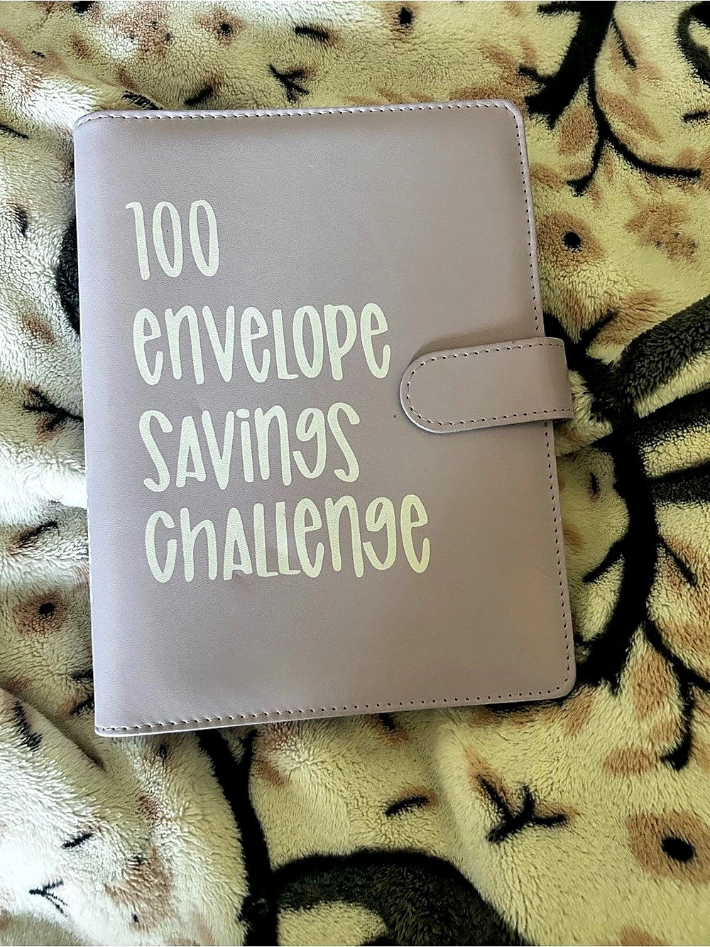 100 Envelope Savings Challenge Pink Savings Challenge Organizer Like New